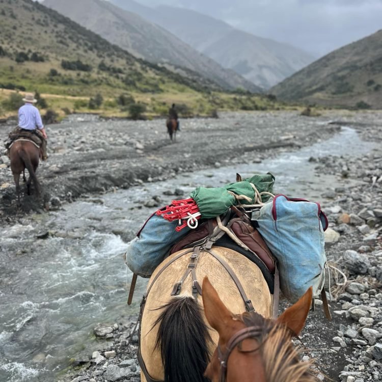 att.w767XpRSF8z_qtZzeju1BdDC9NQ_B3pVyx6es-45qzs